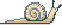 snail